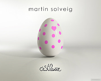dj martin solveig HD wallpaper