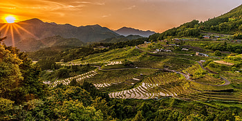Nature, Structure, Hills, Evening, Hill, Rice Fields, Growing HD wallpaper
