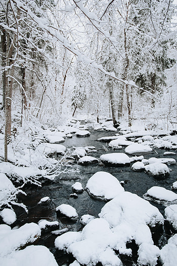 Winter, Nature, Rivers, Trees, Stones, Snow HD phone wallpaper