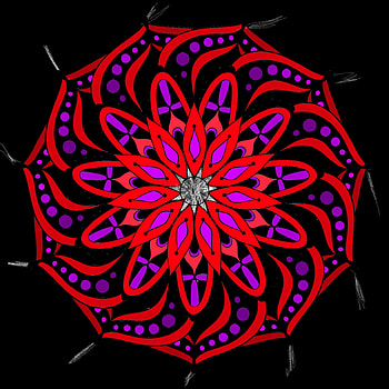 Bloom, red, blooming, spiral HD phone wallpaper