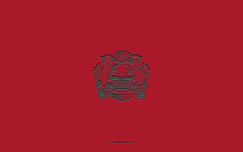 FC Ryukyu, burgundy background, Japanese football team, FC Ryukyu emblem, J2 League, Japan, football, FC Ryukyu logo HD wallpaper