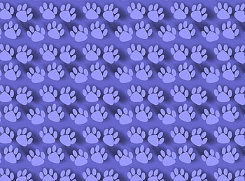 Texture, Textures, Traces, Paws HD wallpaper