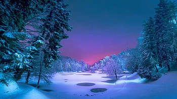 Lake in Winter, sunset, ice, snow, colors, trees, sky HD wallpaper