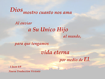 Dios Mostro Su Amor a Nosotros, eternal life, God, love, only Son, Bible HD wallpaper