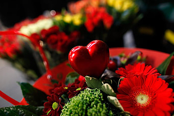 Flowers for all my members , love, red, flowers, heart, valentines day HD wallpaper