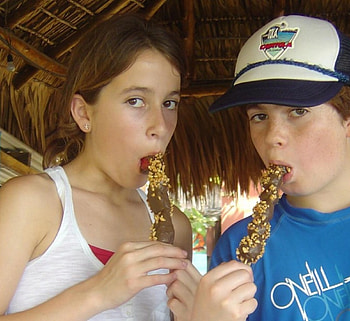 Brain ze, popsicle, people, ice cream, fun HD wallpaper