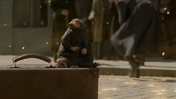 Framestore VFX, Fantastic Beasts, The Crimes of Grindelwald, UK Screen Alliance HD wallpaper