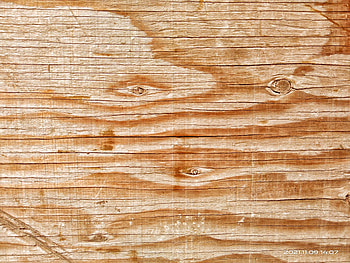 Madera y robles, cafe, plano HD wallpaper