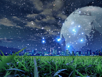 Evening landscape, landscapes, gras, nature, stars HD wallpaper
