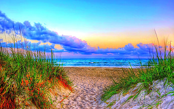 Path to the beach, sand, path, clouds, nature, , beach, beauty HD wallpaper