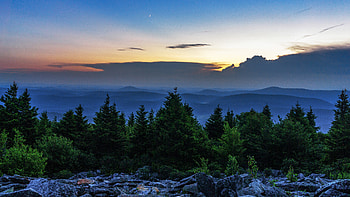 Nature, Trees, Stones, Twilight, Moon, Spruce, Fir, Dusk HD wallpaper