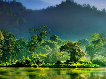 Beautiful nature, lake, green, tree, mountain HD wallpaper