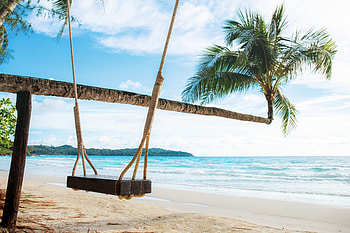 Summer Beach, Palms, Tropical, Swing, Sea HD wallpaper
