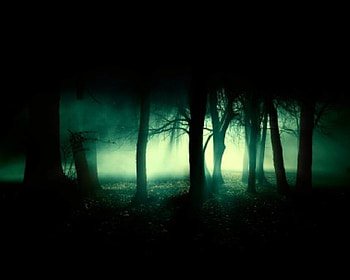 Forbidden Forest, depressing, forbidden, Forest, dark HD wallpaper