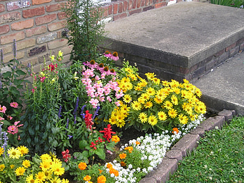 Donna's Front Garden 2, gardens, Brecksvillekc, Summer, Brecksville, flowers HD wallpaper