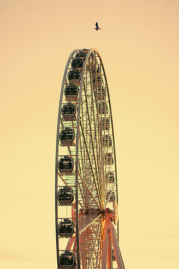 Sky, Bird, Minimalism, Ferris Wheel HD phone wallpaper