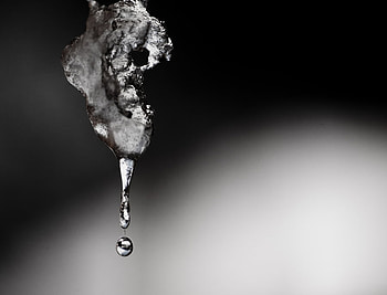 snow smelt, smelt, drop, fabruary, snow HD wallpaper