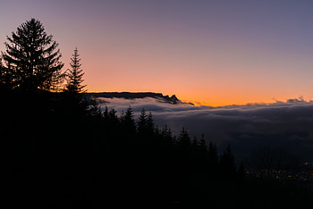 Nature, Trees, Sunset, Horizon, Forest, Fog HD wallpaper