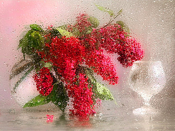Sad flowers, sad, still life, wet, red, vase, glass, flowers HD wallpaper