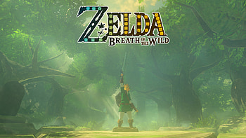 Zelda_Breath_of_the_Wild_DenisNinja__05, The Legend of Zelda: Breath of the Wild HD wallpaper