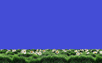 Blue Spring, grass, flowers, sky, spring HD wallpaper