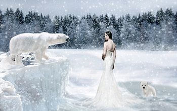 Snow, Fantasy, Women, Bear, Polar Bear HD wallpaper