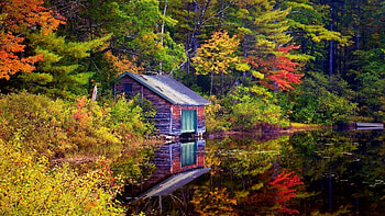 Lake Shore Cabin, wooden, fall, lake, cabin, hut, trees, nature, cottage, forest, pond, foliage HD wallpaper