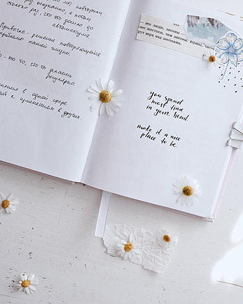 Flowers, Words, Notepad, Notebook, Lettering, Inscriptions, Phrases, Quotes HD phone wallpaper