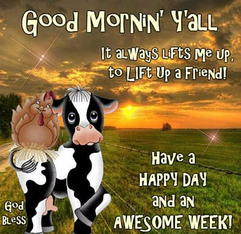 Happy Day And An Awesome Week, Animals, Week, Day, Cows, Happy, Awesome HD wallpaper