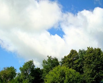 Over the tree tops, summer, clouds, sky, graph, tree HD wallpaper