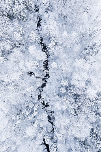Winter, Nature, Rivers, Snow, View From Above, Forest HD phone wallpaper