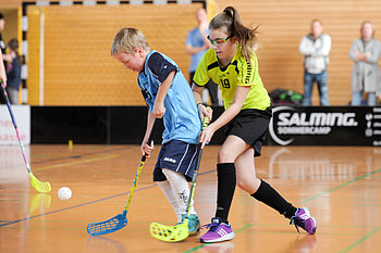 Floorball ligen, Berlin-Brandenburg, Floorball verband, Sport liga HD wallpaper