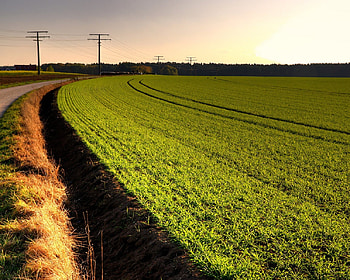 Green_Field, green, landscape, sky, road, nature, forest, cloud HD wallpaper