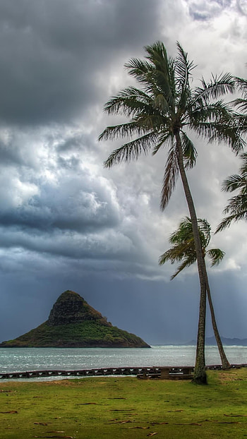 O'ahu , Stunning backgrounds, Tropical paradise, Travel HD phone wallpaper