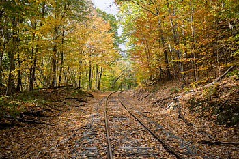 Rails, Nature, Trees, Autumn, Forest, Foliage HD wallpaper