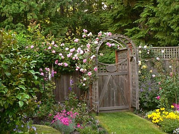 garden gate with pink rose arch, garden gate, arch, pink roses, garden, nature, flowers HD wallpaper