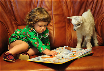 Friends come in all shapes, little girl, book, brown hair, green dress, friends, white lamb HD wallpaper