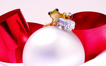 Christmas frog, decoration, holiday, christmas, ball, frog HD wallpaper