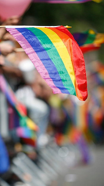 Pride, LGBT, Flag HD phone wallpaper