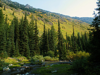 Nature, Rivers, Usa, Forest, United States, Washington, Mt Baker-Snoqualmie National HD wallpaper