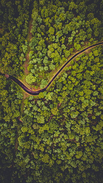Nature, Rivers, View From Above, Forest HD phone wallpaper