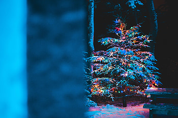 Holidays, New Year, Snow, Christmas, Christmas Tree, Garland, Garlands HD wallpaper