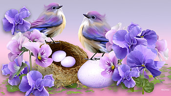 purple birds, flowers, birds, eggs, animals HD wallpaper