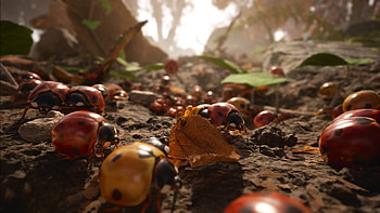 Empire of the Ants Ladybug, video game, Empire of the Ants, ladybug HD wallpaper