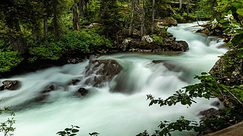 Somewhere in the Grand Teton National Park, rocks, forest, stream, trees, usa, wyoming HD wallpaper