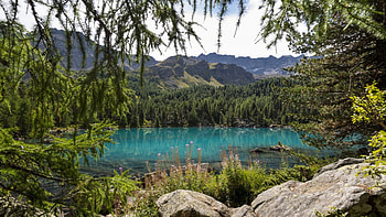 green mountain lake, flowers, mountains, rocks, forest, lake HD wallpaper