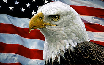 Bald Eagle and USA Flag F1, fireworks, occasion, wide screen, Independence Day, graphy, , 4th of July, celebration HD wallpaper