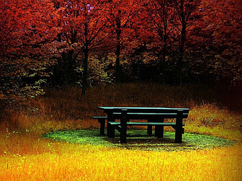 nature, 3d HD wallpaper