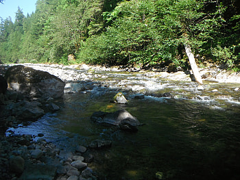 Quartzville Creek, oregon, forests, beautiful, rocks, scenic, nature, creeks, water, rivers, stream HD wallpaper