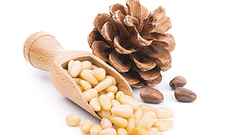 Bulk pine nuts, Affordable price, Custom packing, Premium quality HD wallpaper